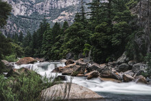 Powerful Stream Of River Flowing In Highland Area In Evergreen Forest In Yosemite National Park In California