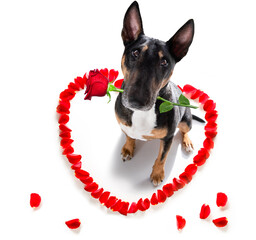 Wall Mural - dog valentines love heart