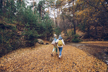Back View Of Young Female Explorers Walking In Autumn Woods Near River And Talking To Each Other