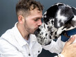 © Sergio Victor Vega/ADDICTIVE STOCK - Side view of tender male owner cuddling face to face with Harlequin Great Dane dog while sitting in city during stroll