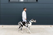 © Sergio Victor Vega/ADDICTIVE STOCK - Side view of male owner standing with big Harlequin Great Dane dog during stroll in city and looking away