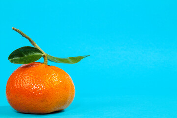 Tangerine with green leaves on blue background