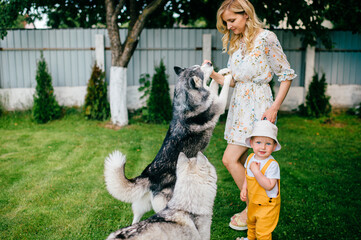 Wall Mural - Mother and son playing with two dogs in the garden