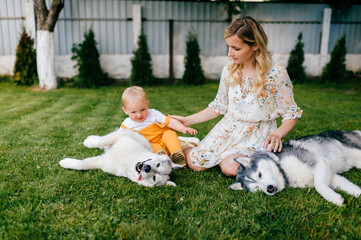 Wall Mural - Mother and son posing with two dogs on the grass