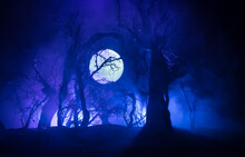 Spooky Dark Landscape Showing Silhouettes Of Trees In The Swamp On Misty Night. Night Mysterious Landscape In Cold Tones - Silhouettes Of The Bare Tree Branches Against The Full Moon