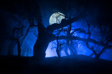 Wall Mural - Spooky dark landscape showing silhouettes of trees in the swamp on misty night. Night mysterious landscape in cold tones - silhouettes of the bare tree branches against the full moon