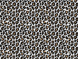 White leopard skin seamless pattern. Animal decorative print design for textile, paper and clothes.
