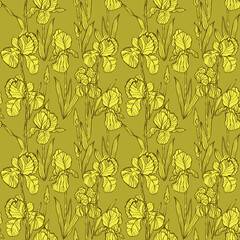 Irises flowers in yellow colours seamless pattern