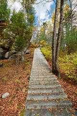 Sticker - The path in the autumn forests.