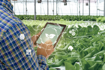 Wall Mural - smart farming,agriculture industry technology concept, farmer using tablet to control in planting, farm, with high technology to monitor, check, control for best performance, efficiency, high profit