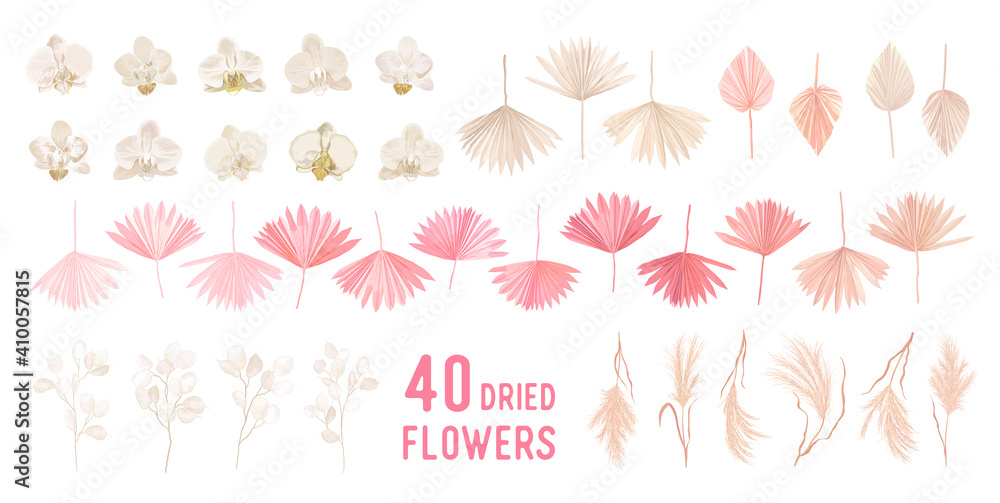 Dried pampas grass, lunaria flowers, orchid, tropical palm leaves vector bouquets. Pastel watercolor floral template - obrazy, fototapety, plakaty 