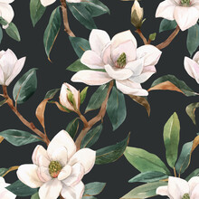 Beautiful Vector Seamless Pattern With Hand Drawn Watercolor White Magnolia Flowers. Stock Illustration.
