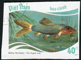 Wall Mural - VIETNAM - CIRCA 1987: a stamp printed in the Vietnam, shows Red-finned Loach - Botia lecontei, series Aquarium fish