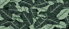 Luxury Green Leaves Background Vector. Floral Pattern, Tropical Leaf With Line Arts, Jungle Plants, Exotic Pattern With Palm Leaves. Vector Illustration.
