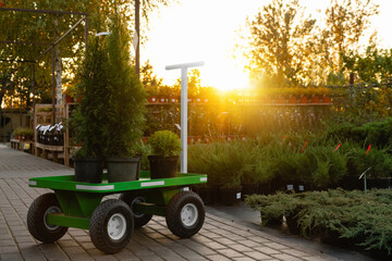 Aufkleber - Shopping cart in the garden center. Sale of plants.