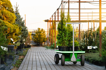 Aufkleber - Shopping cart in the garden center. Sale of plants.