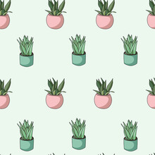Seamless Pattern With Aloe Vera Plants In Pink And Blue Pots