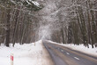 Asfaltowa droga w lesie pokrytym grubą warstwą śniegu.