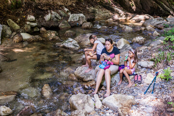 Wall Mural - Family Enjoy Nature Walking By Mountain Creek, Hiking Adventure, Active People, Forest Stream, Summer Season