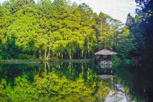 Beautiful Gazebo In The Middle Of The Lake In Alishan Park