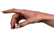 © Илья Подопригоров - Female and male black hands  isolated white background showing interlocked fingers gesture. african woman and man hands showing different joint gesture