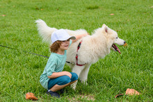 Little Boyhugging White Fluffy Samoyed Dog And Laughing In The Park Or Spirng Grass Background.