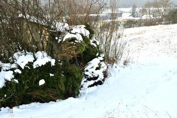 Wall Mural - Camouflage cover in nature in the bushes for photographing wildlife in snowy winter