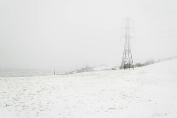 lines in the snow