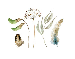 Wall Mural - Watercolor set with botanical elements, dry branches, leaves and bird feathers. hand painted on white background