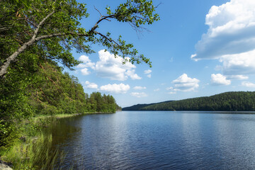 Wall Mural - Summer landscape with lake Isojarvi. Finland. Beautiful blue sky with white clouds over the lake in the forest.