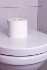 Toilet bowl with a roll of toilet paper. The concept of toilet paper affluence