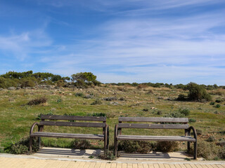 Two benches on the background of a natural landscape