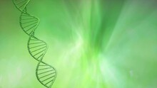 Dna Structure Rotating On Green Blurry And Foggy Copy Space Background. Concept Nature Science Animation. Seamless Looping.