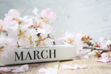 Fototapeta  - March Month and Almond Flowers on Wooden