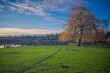 © JRodrigo - landscape with trees and blue sky
