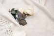 White roses tucked in a blanket, on soft white background. Love and care concept. Flat lay.