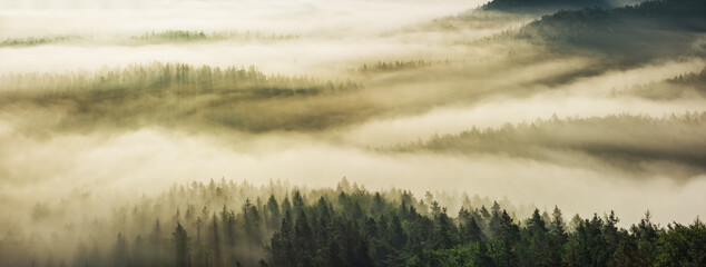 Wall Mural - morning fog flowing over hills covered by fog