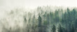 Leinwandbild Motiv Panoramic view of forest with morning fog