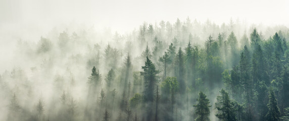 Plakat natura panorama drzewa wzgórze