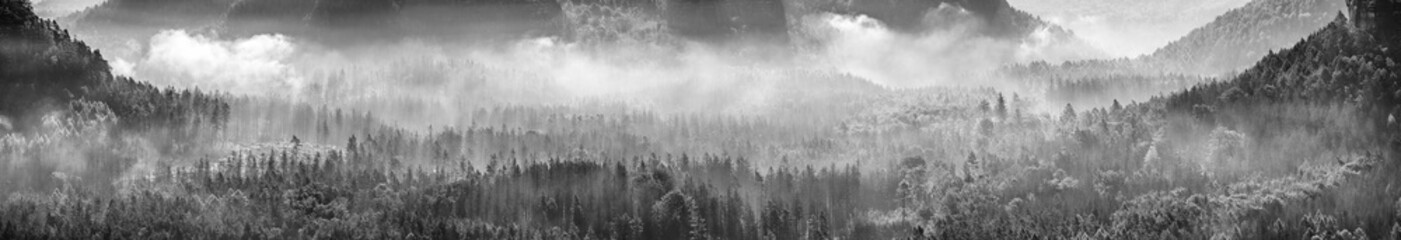 Wall Mural - black and white panorama of endless forest with fog