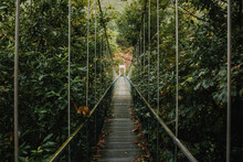 Diminishing Perspective Of Suspension Bridge Amidst Trees And Plants In Forest