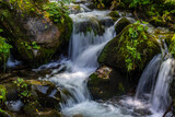Fototapeta Łazienka - waterfall in the forest