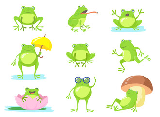 Wall Mural - Cute frog in different poses flat character set. Cartoon funny green toad jumping, sitting, relaxing in pond, eating fly isolated vector illustration collection. Animals and amphibians concept