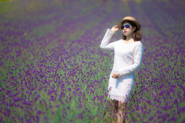 Wall Mural - Beautiful Asian woman wearing white dress in a lavender field blooming in the garden.