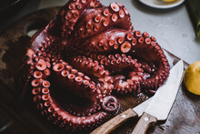 Gourmet Seafood Octopus. Freshly Cooked Purple Octopus On Wooden Cutting Board, Close-up.