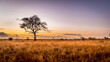 Leinwandbild Motiv Sunrise over the savanna and grass fields in central Kruger National Park in South Africa