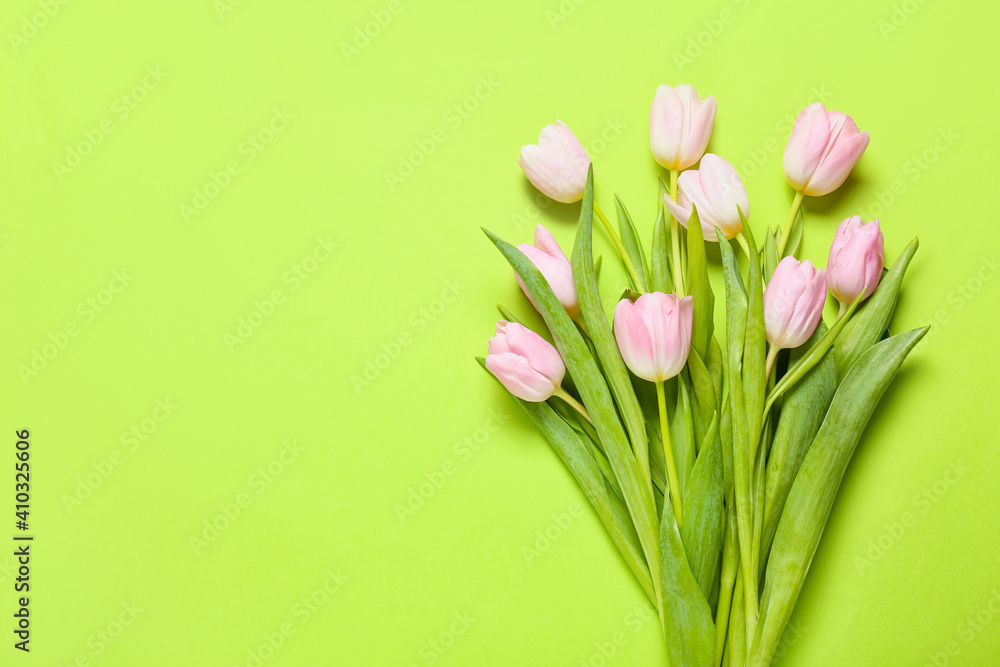 Beautiful tulip flowers on color background
