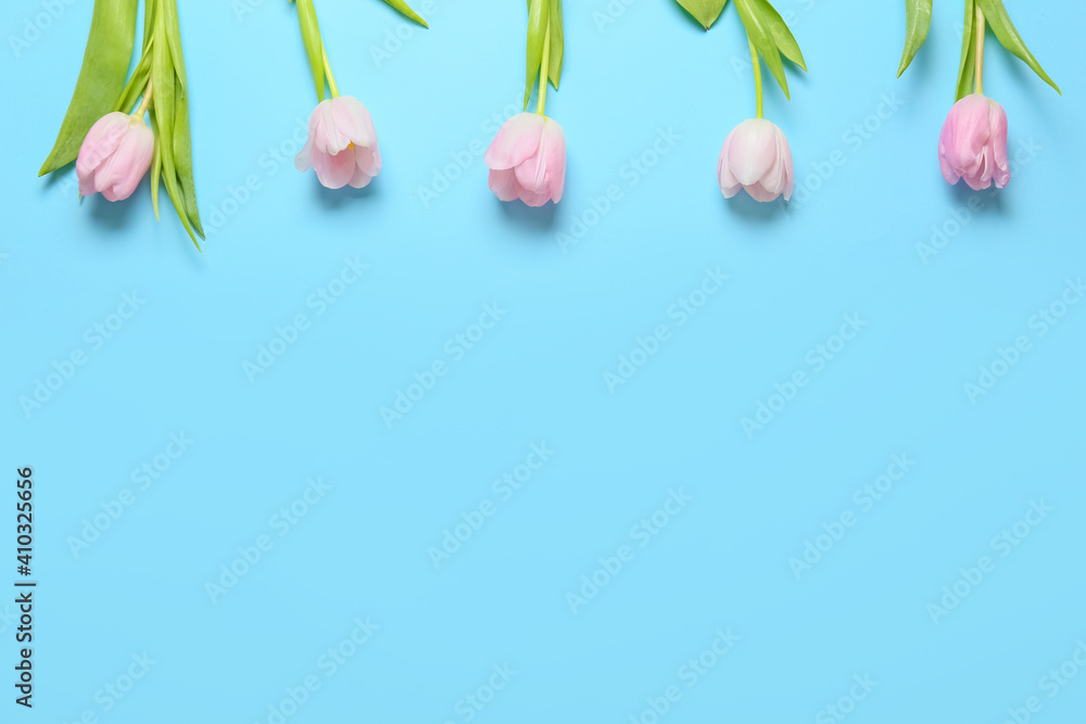 Beautiful tulip flowers on color background