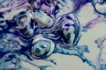 Wall Mural - Luqiud vivid blue and violet color mixing together on white background. Painting, splash marble abstract texture