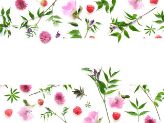 Wall Mural - Frame from flowers and berries with place for text, top view. The concept of summer, spring, Mother's Day, March 8. 